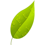 Dockleaf